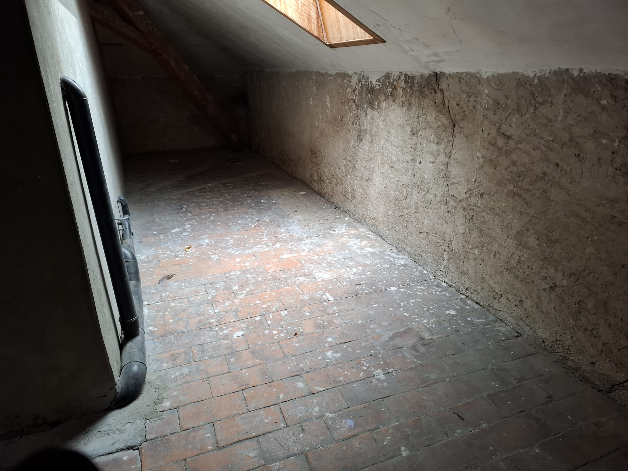 whatsapp image 2026 04 10 at 23.09.30