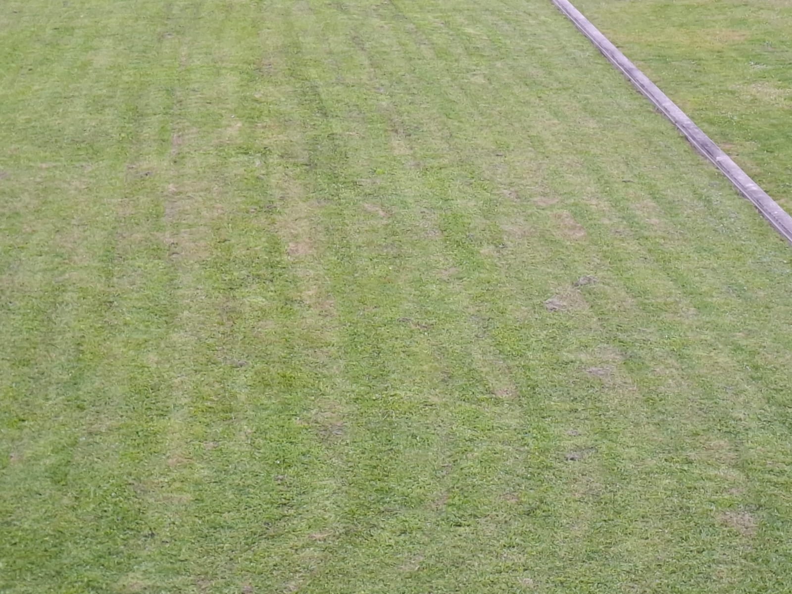 whatsapp image 2026 04 11 at 14.42.32